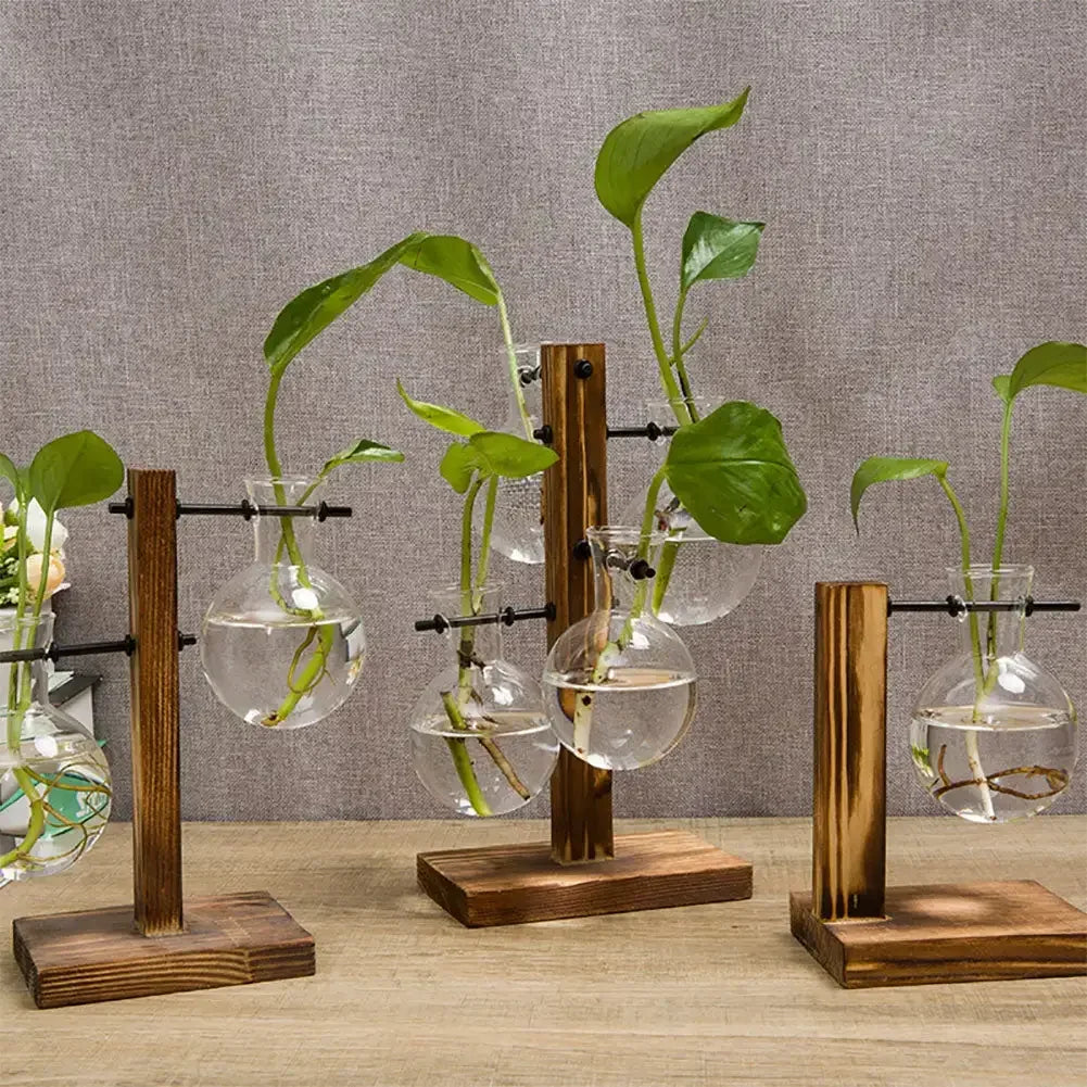 Vintage Flower Pot with Transparent Wooden Frame – Glass Tabletop Terrarium Vase for Plants
