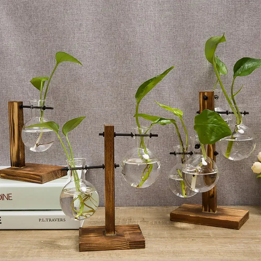 Vintage Flower Pot with Transparent Wooden Frame – Glass Tabletop Terrarium Vase for Plants