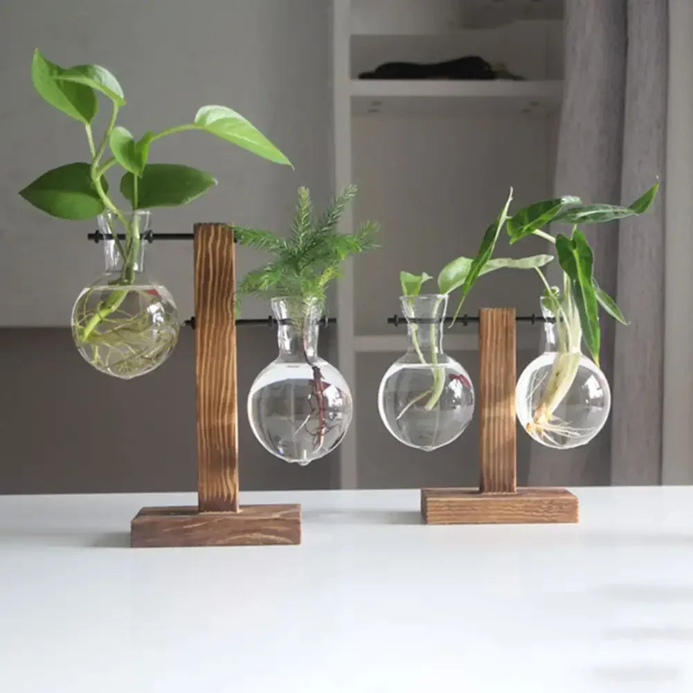 Vintage Flower Pot with Transparent Wooden Frame – Glass Tabletop Terrarium Vase for Plants