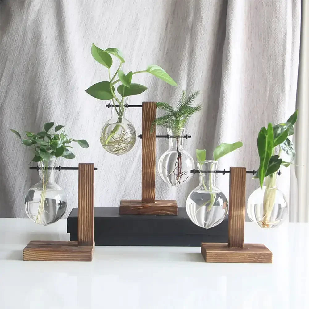 Vintage Flower Pot with Transparent Wooden Frame – Glass Tabletop Terrarium Vase for Plants